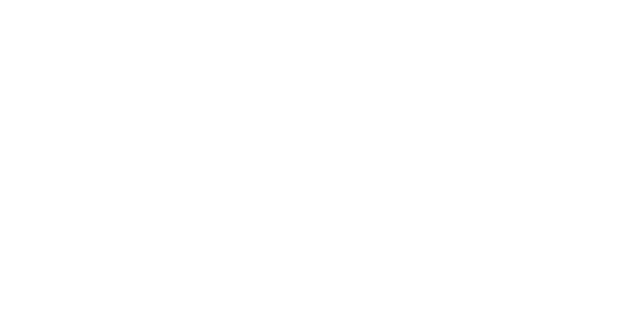 Real Solutions Law