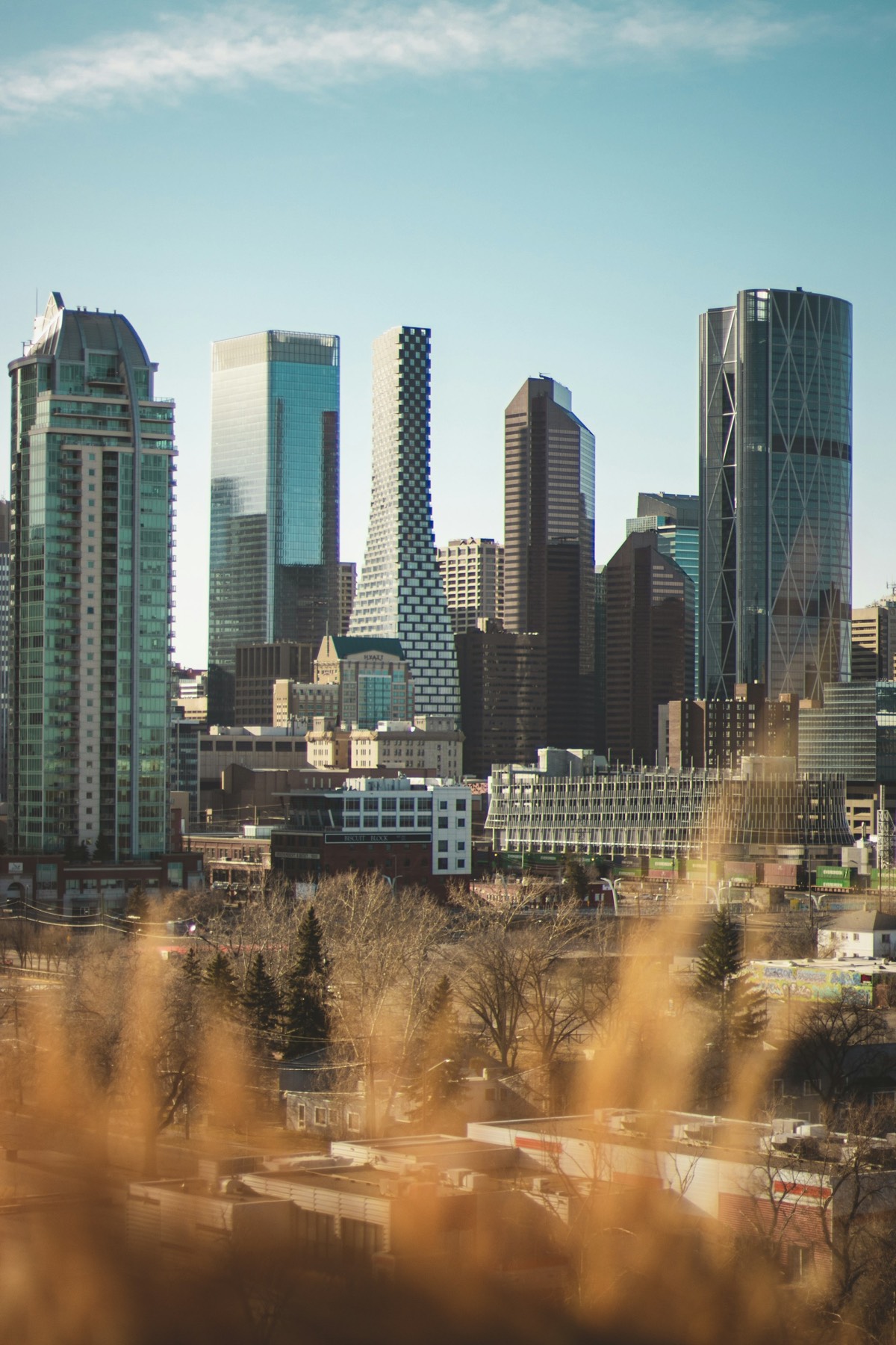 Calgary residential architecture